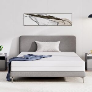 Avenco Materasso Singolo in Memory Foam 80x190