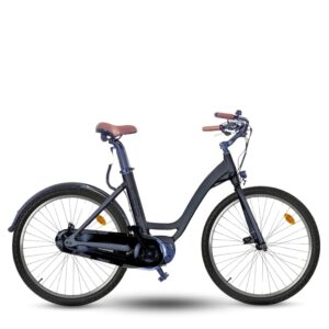 Lexgo CT26 Bici Elettrica Ebike con Velocità 25 km/h