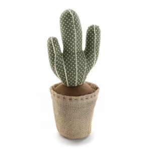 Versa 20270119 - Fermaporta Cactus