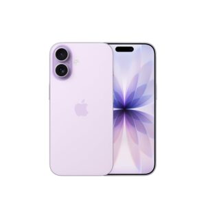 Apple iPhone 17 256 GB: display 6
