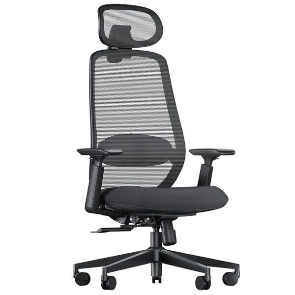 ProtoArc EC200 Sedia da ufficio ergonomica per la casa
