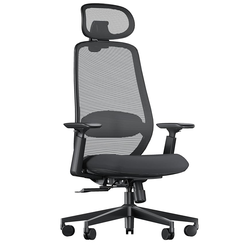 ProtoArc EC200 Sedia da ufficio ergonomica per la casa ProtoArc EC200 Sedia da ufficio ergonomica per la casa