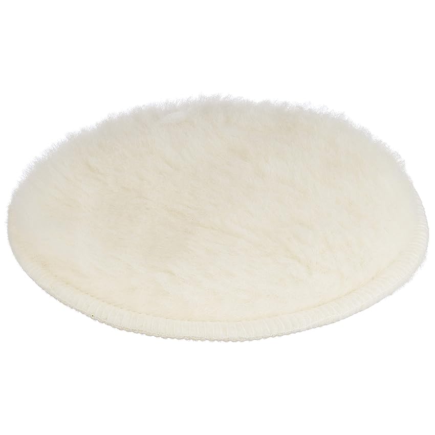 Bosch 2609256050 Cuffia in Lana d'Agnello per Lucidatura a Cerchio Casuale Bosch 2609256050 Cuffia in Lana d'Agnello per Lucidatura a Cerchio Casuale