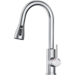 SREWOHS PRO Rubinetto Lavello Cucina Estraibile