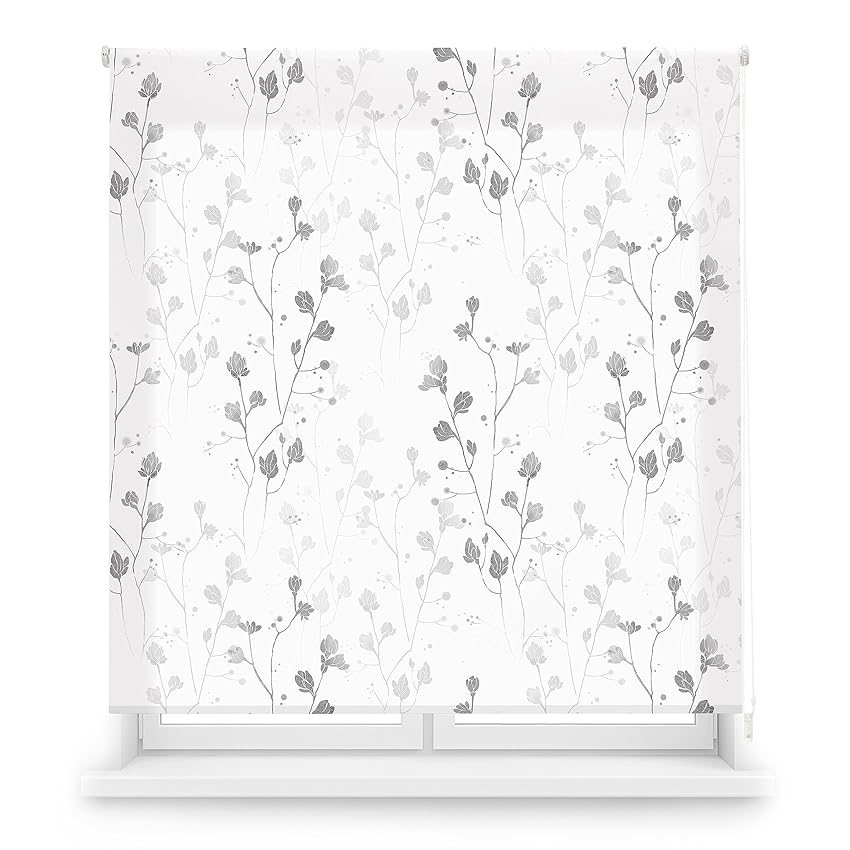 Blindecor Ara Grey Garden | Tenda avvolgibile stampata con tessuto traslucido