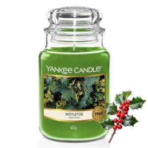 Yankee Candle Scented Candle | Candela in giara grande della Vischio | Candele a lunga