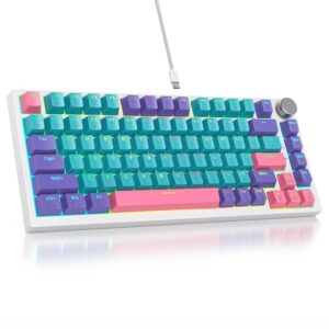 SbocKeeb Tastiera meccanica con guarnizione al 75%