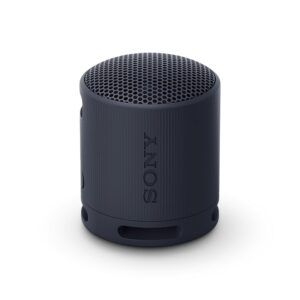 Sony SRS-XB100 - Speaker Wireless Bluetooth