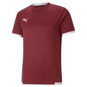 Puma teamLIGA Jersey