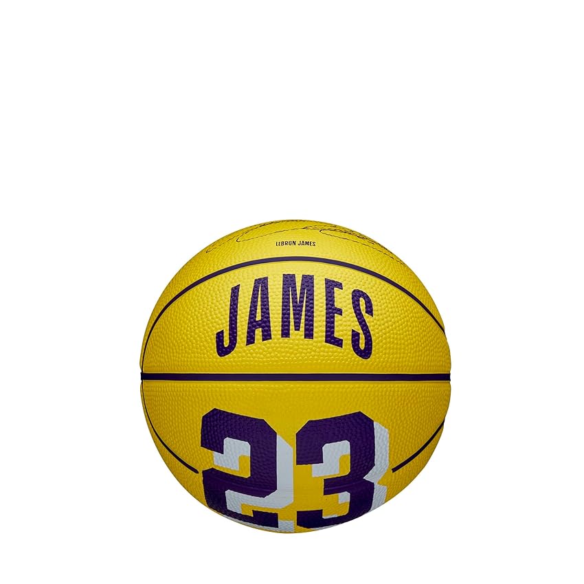 Wilson NBA Player Icon LeBron James Mini Ball WZ4007201XB