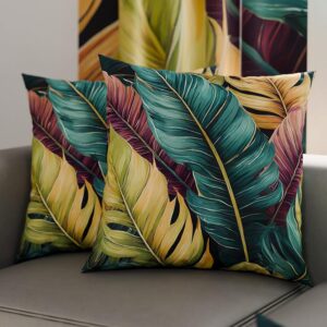 PETTI Artigiani Italiani - Coppia di Federe Cuscino 30x30 cm in Microfibra