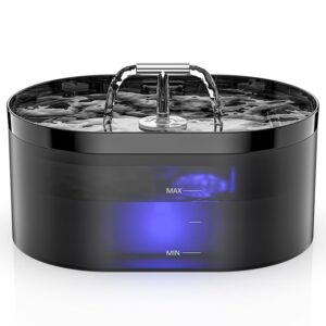 Fontanella per Gatti