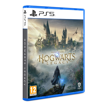 Hogwarts Legacy PlayStation 5