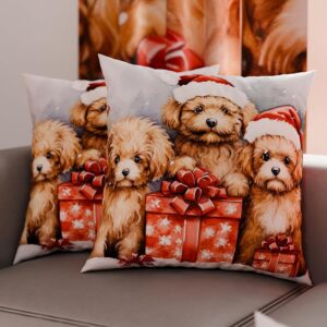 PETTI Artigiani Italiani - Coppia di Federe Cuscino 40x40 cm in Microfibra