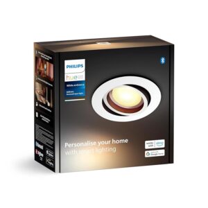 Philips Hue White Ambiance Milliskin