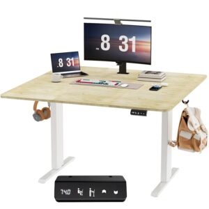 Raplink Scrivania Regolabile in Altezza 100 x 60 cm