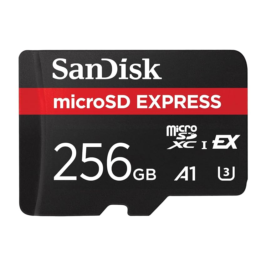 SanDisk Scheda microSD Express da 256 GB
