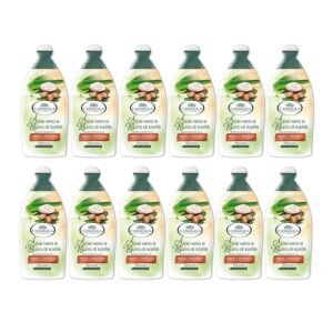 L'Angelica Officinalis