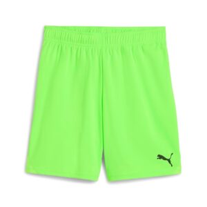 PUMA teamGOAL Shorts Jr