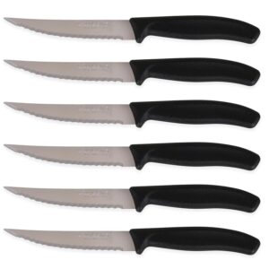 6 Coltelli da Bistecca con Punta per Tagliare Carne Lavabili in Lavastoviglie