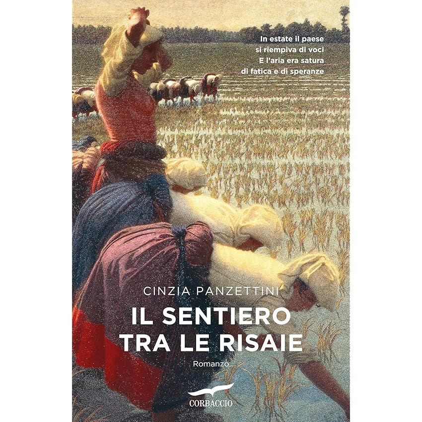 Il sentiero tra le risaie