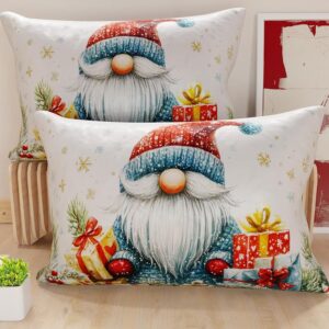 PETTI Artigiani Italiani - Coppia di Federe Cuscino 40x60 cm in Microfibra