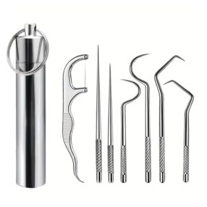 Set di stuzzicadenti portatili in acciaio inox