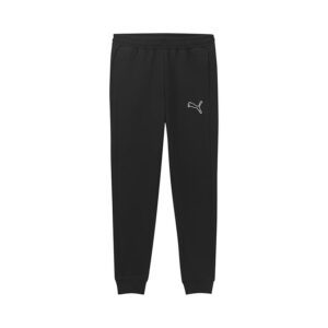 Puma teamGOAL Pants CE