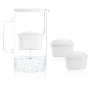 Wessper Caraffa Filtrante Vetro da 2