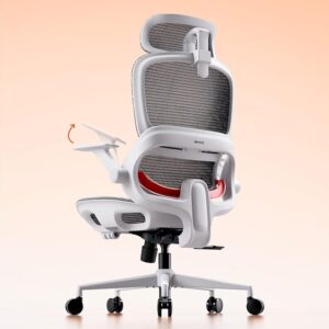 SIHOO B100 Sedia Ergonomica da Ufficio