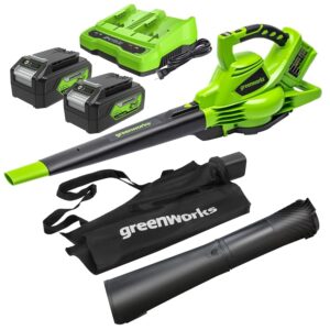 Greenworks 48V(24V x 2)