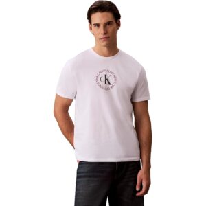 Calvin Klein SS 30s WHSL CK Word Circle Graph LV14RE816G Maglietta Grafica da Uomo