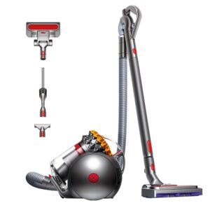 Dyson Big Ball™ Absolute 2 aspirapolvere a traino