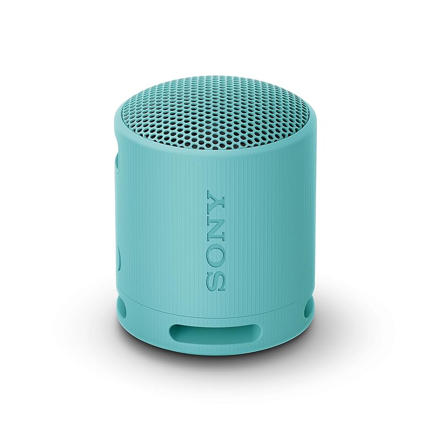 Sony SRS-XB100 - Speaker Wireless Bluetooth