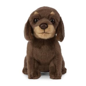 Living Nature- Peluche AN446 Pets Dachshund Puppy Plush Toy
