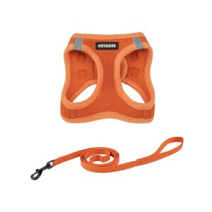 Voyager Step-in Air - Set con guinzaglio per gatti di taglia piccola e grande