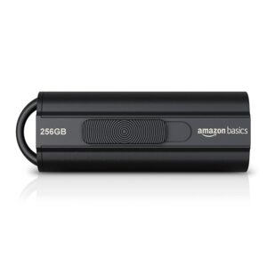 Amazon Basics 256 GB