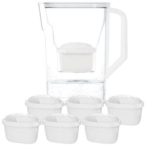 Wessper Caraffa Filtrante con Filtri