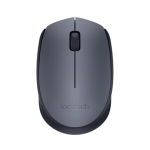Logitech M170 Mouse Wireless