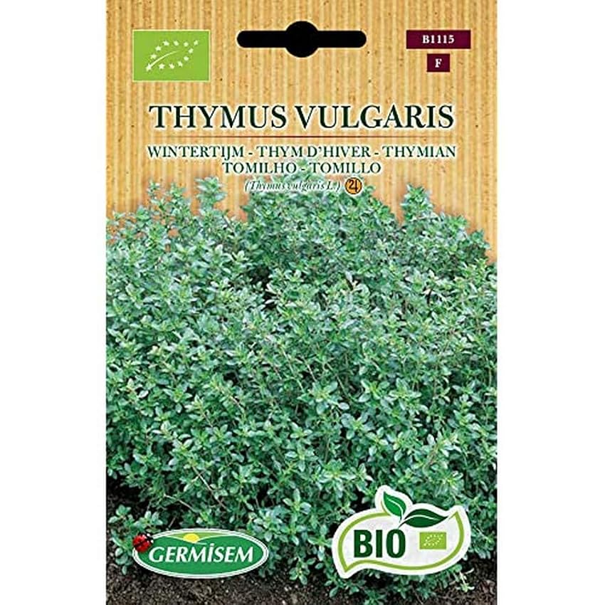 Germisem Biologico Thymus Vulgaris Semi di Timo 0.5 g
