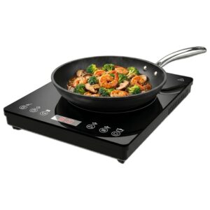 Cecotec Piastra Induzione Portatile Full Magma Slim Pure. 2000 W