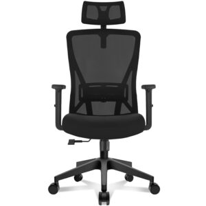 Hoolamyie Sedia Ufficio Ergonomica con Poggiatesta 2D