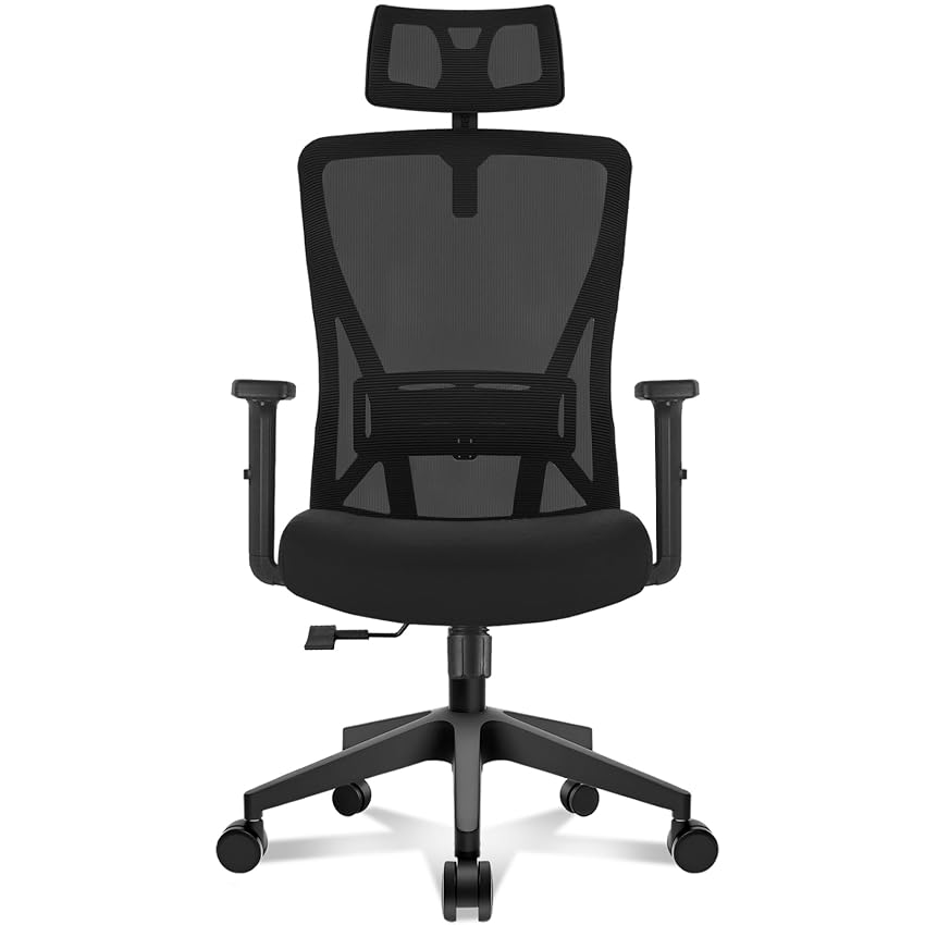 Hoolamyie Sedia Ufficio Ergonomica con Poggiatesta 2D