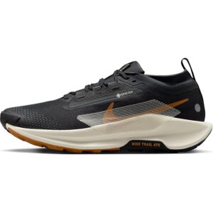 Nike FQ0908-007 Pegasus Trail 5 Gore-Tex Uomo