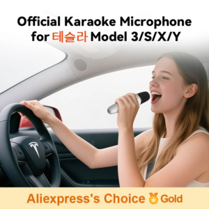 T1-chuva Microfono Karaoke per auto