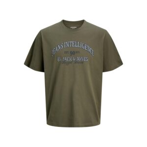 JACK & JONES Jjedenver Graphic Tee SS O-Neck Noos