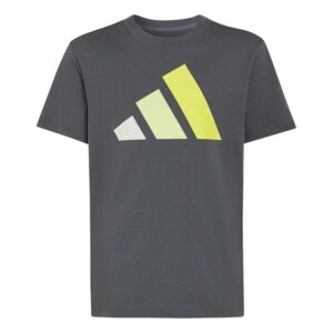 adidas Unisex - Bambini e Ragazzi Essentials Big Logo Shirt