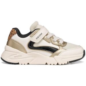 Geox Loftus A Trainers EU 29