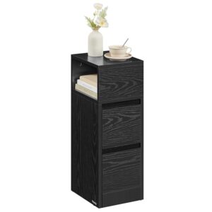 VASAGLE KAILYN Collezione Comodino Stretto con 2 Cassetti