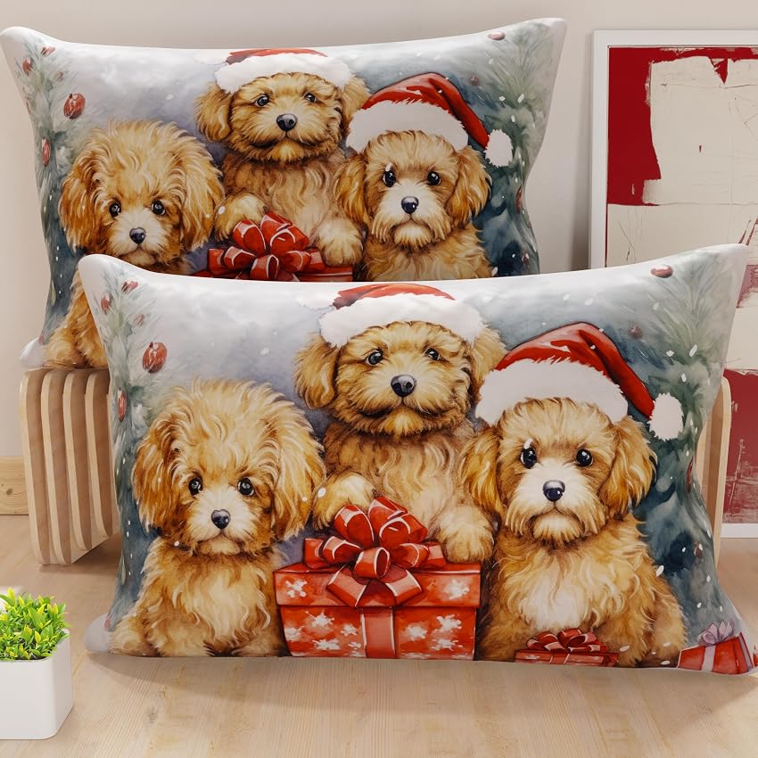 PETTI Artigiani Italiani - Coppia di Federe Cuscino 40x80 cm in Microfibra